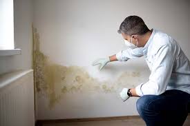 Best Mold Documentation for Insurance Claims in Mont Clare, PA